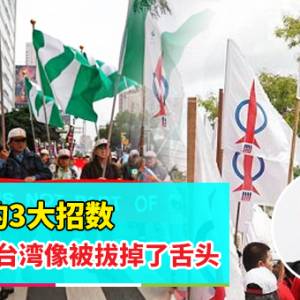 【从台湾看槟城的3篇文章】下集：民进党的3大招数 就俨然让台湾像被拔掉了舌头