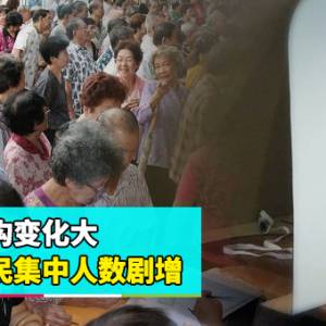 【选区重划报告】下集：选民结构变化大 华裔选民集中人数剧增