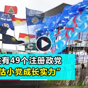 【国会解散】下集：大马共有49个注册政党  “别低估小党成长实力”