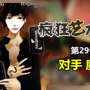 29 对手 魔杖