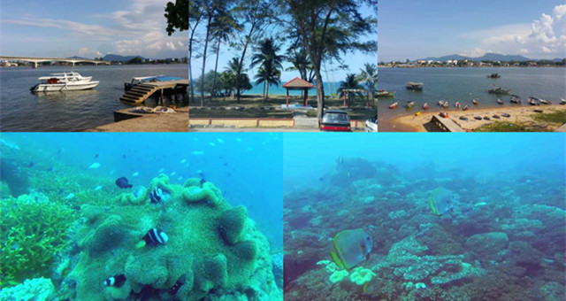 【大马趴趴走】潜入七彩缤纷的海底世界，窥探拥有最多珊瑚品种的天鹅岛！