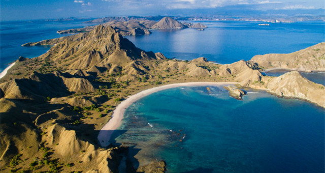 印尼的神秘岛屿，上演着现实版的“侏罗纪公园”！