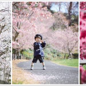 高手在民间！日本妈妈帮儿子拍的童年照超梦幻！