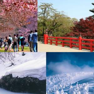 让我们一起去“日本东北”欣赏雪景和樱花吧！