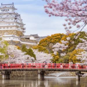 日本的旅游业推出特别优惠！“7月开始将会承担外国游客一半的旅行费用！”