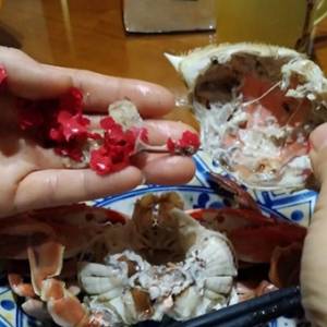 吃一口螃蟹，惊觉它肚里有一坨塑胶碎 ！