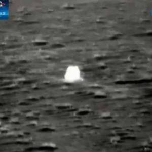 嫦娥5号着陆惊现小动物？ 神秘存在被网友推测:是玉兔！