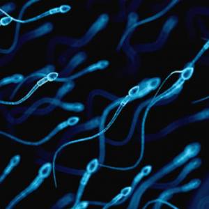 新冠染疫男性康复的后遗症之一，精子数量将降低！