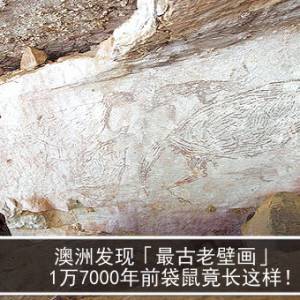 澳洲发现「最古老壁画」　1万7000年前袋鼠竟长这样！