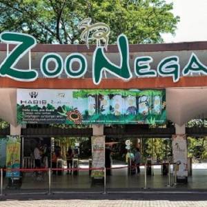 有没有想结婚的朋友？ 不妨考虑“Zoo Negara结婚配套”！