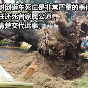 槟城大路后树倒砸车死亡是非常严重的事件，州政府有责任还死者家属公道，向社会公众清楚交代此事。