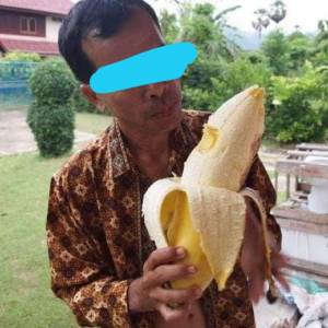 印尼发现“巨蕉”，重达4kg！网民惊：好粗一条，不知道味道好不好？！