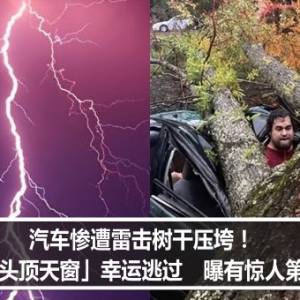 汽车惨遭雷击树干压垮！他「大头顶天窗」幸运逃过　曝有惊人第六感