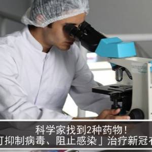 科学家找到2种药物！　「可抑制病毒、阻止感染」治疗新冠有望