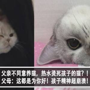 父亲不同意养猫，热水烫死孩子的猫？！父母：这都是为你好！孩子精神崩溃！