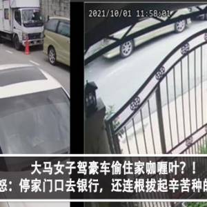 大马女子驾豪车偷住家咖喱叶？！住户怒：停家门口去银行，还连根拔起辛苦种的咖喱叶！