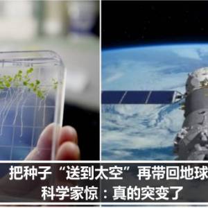 把种子“送到太空”再带回地球种　科学家惊：真的突变了