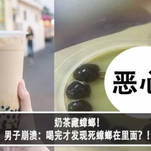 奶茶藏蟑螂！男子崩溃：喝完才发现死蟑螂在里面？！