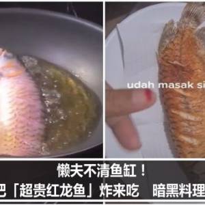 懒夫不清鱼缸！人妻怒把「超贵红龙鱼」炸来吃　暗黑料理片疯传