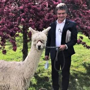 比利时大使在澳大利亚养了只羊驼，起名叫“鲍里斯”？有点传神哈哈哈哈哈！