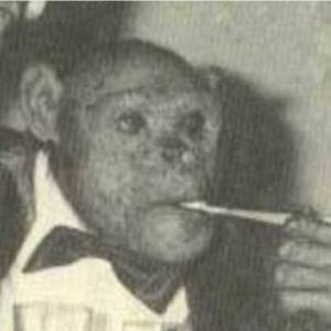 恐怖苏联“Humanzee”实验　科学家人猩杂交培养“超级士兵”