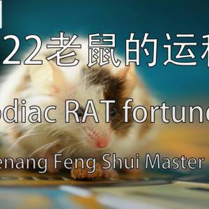 2022年生肖属鼠的运程 by Penang Feng Shui Master Lee
