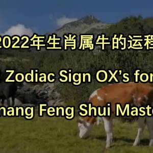 2022年生肖属牛的运程 by Penang Feng Shui Master Lee