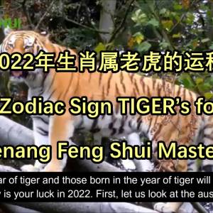 2022年生肖属老虎的运程 by Penang Feng Shui Master Lee