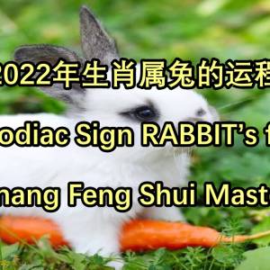 2022年生肖属兔的运程 by Penang Feng Shui Master Lee