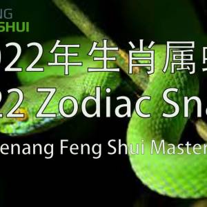 2022年生肖属蛇的运程 by Penang Feng Shui Master Lee