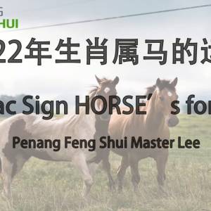 2022年生肖属马的运程 by Penang Feng Shui Master Lee