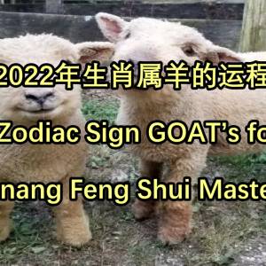2022年生肖属羊的运程 by Penang Feng Shui Master Lee