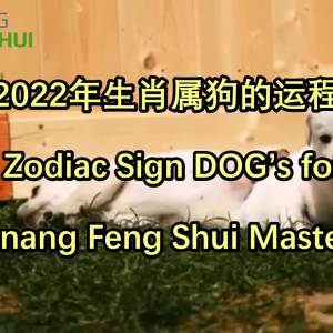 2022年生肖属狗的运程 by Penang Feng Shui Master Lee