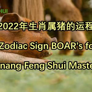 2022年生肖属猪的运程 by Penang Feng Shui Master Lee