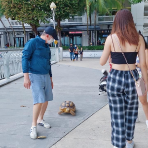 想要吸引女孩子注意，别再遛狗了！女子：你可以带一只与众不同的宠物，绝对会有女孩和你搭讪？！