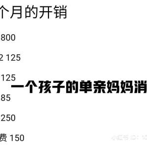 单亲妈妈月入RM4.1K，每月消费RM3865？！妈妈直言：后悔没早点理财！网民：还好你还有赡养费！