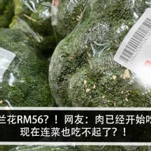 一粒西兰花RM56？！网友：肉已经开始吃不起，现在连菜也吃不起了？！