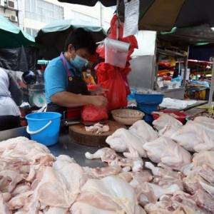 惊喜！鸡肉顶价低于RM10！ 首相：成立抗通胀圣战特工队！