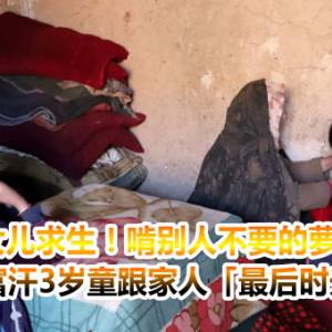 卖女儿求生！啃别人不要的萝卜⋯阿富汗3岁童跟家人「最后时光」