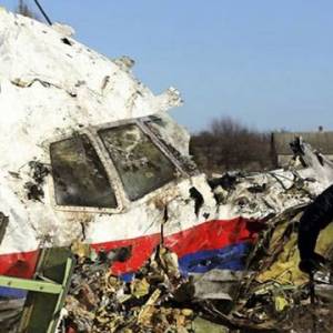 MH17 坠毁迈入8周年   交通部：需找到真相，严惩肇事者！