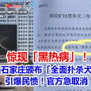 惊现「黑热病」！大陆石家庄颁布「全面扑杀犬只」引爆民愤！官方急取消