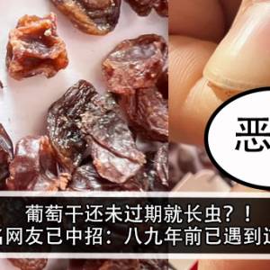 葡萄干还未过期就长虫？！多名网友已中招：八九年前已遇到过？！