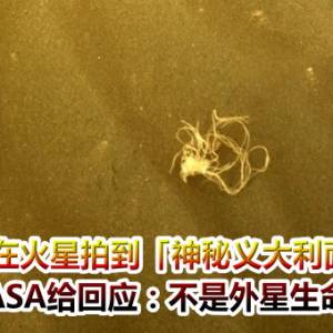 毅力号在火星拍到「神秘义大利面条」！　NASA给回应：不是外星生命