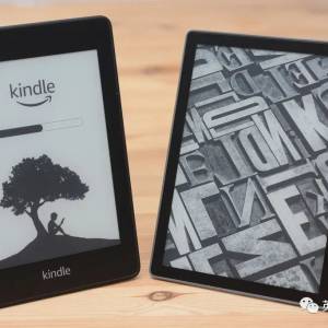 一窝蚂蚁占领了妹子的Kindle，还帮她买了两本书？ 万万没想到蚂蚁的品味...