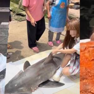 吃大白鲨违法致抖音号被封了！　中国百万网红恐遭判监禁10年！