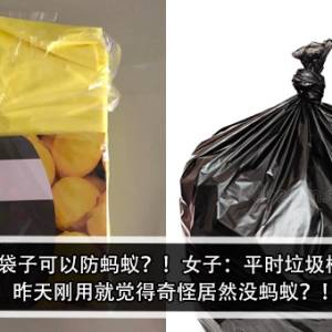 Lotus黄色袋子可以防蚂蚁？！女子：平时垃圾桶很多蚂蚁，昨天刚用就觉得奇怪居然没蚂蚁？！