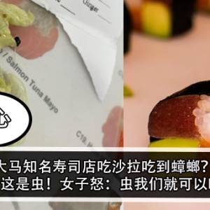 大马知名寿司店吃沙拉吃到蟑螂？！老板：这是虫！女子怒：虫我们就可以吃吗？！