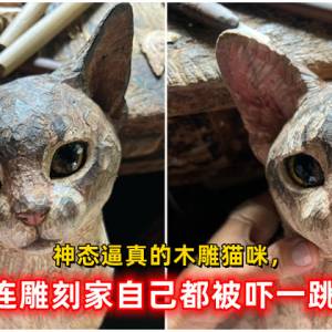 神态逼真的木雕猫咪，连雕刻家自己都被吓一跳