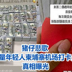 猪仔悲歌   他惊「大量年轻人柬埔寨机场打卡」完蛋了　真相曝光