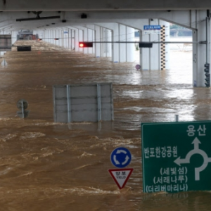 首尔遇80年一见特大暴雨，公交车都被盖顶，小哥却淡定坐车头玩手机…